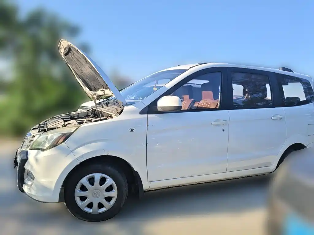 BAW Weiwang M20 — миниатюра 2