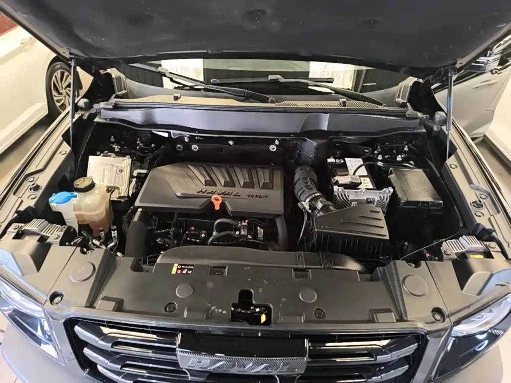 Haval 长城大狗 — миниатюра 20