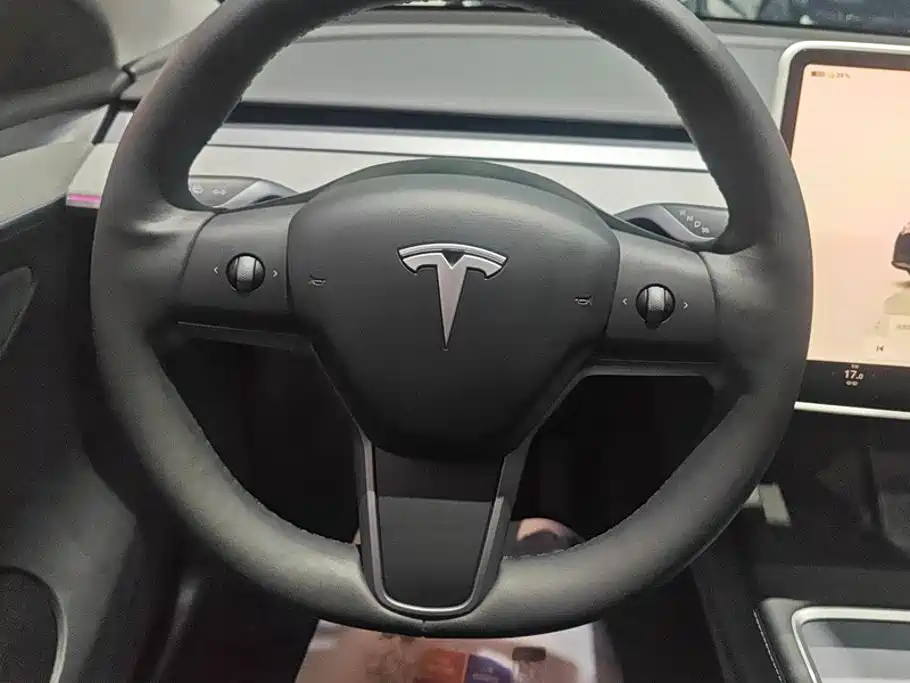 Tesla Model Y — миниатюра 15