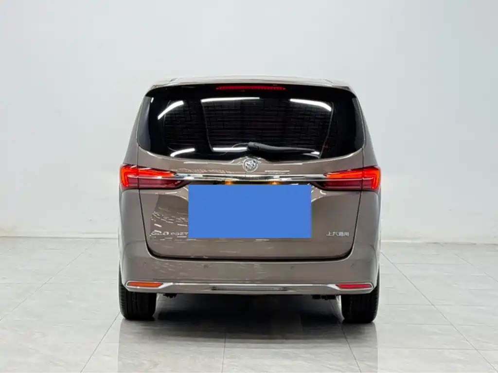 Buick GL8 — миниатюра 3