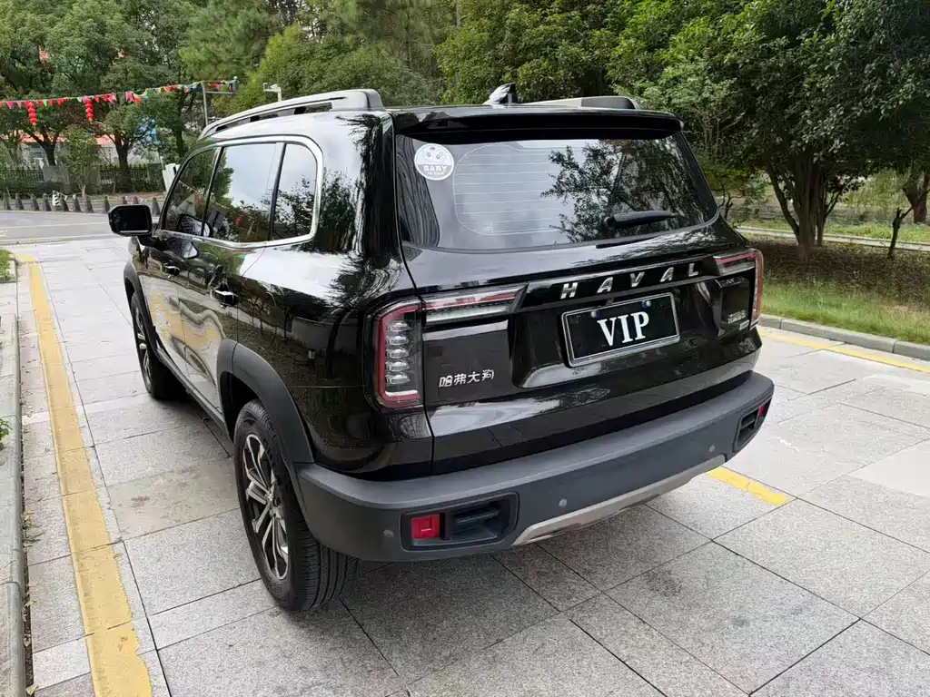 Haval 长城大狗 — миниатюра 11