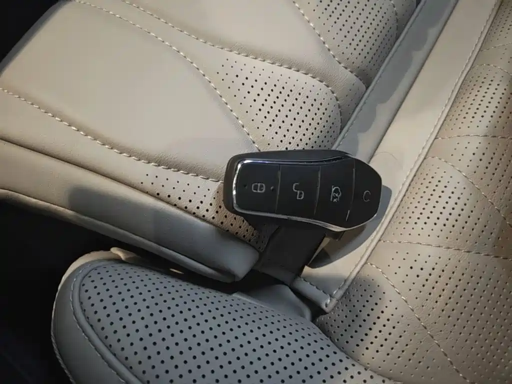 BYD Tang New Energy — миниатюра 9