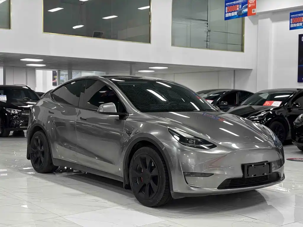Tesla Model Y — миниатюра 3