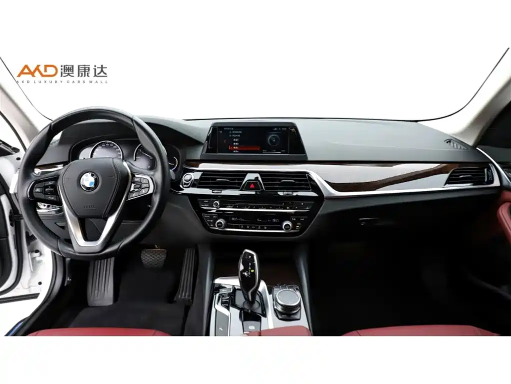 BMW 5 Series — миниатюра 5