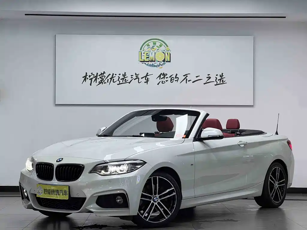 BMW 2 Series (Import) — миниатюра 2