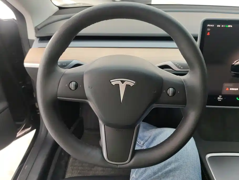 Tesla Model 3 — миниатюра 15