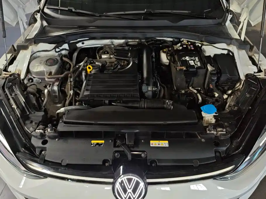 Volkswagen Lamando — миниатюра 10
