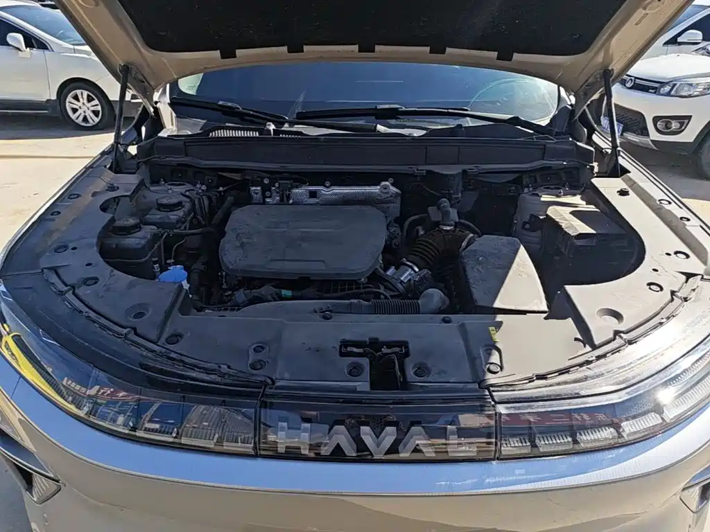Haval Xiaolong MAX — миниатюра 20