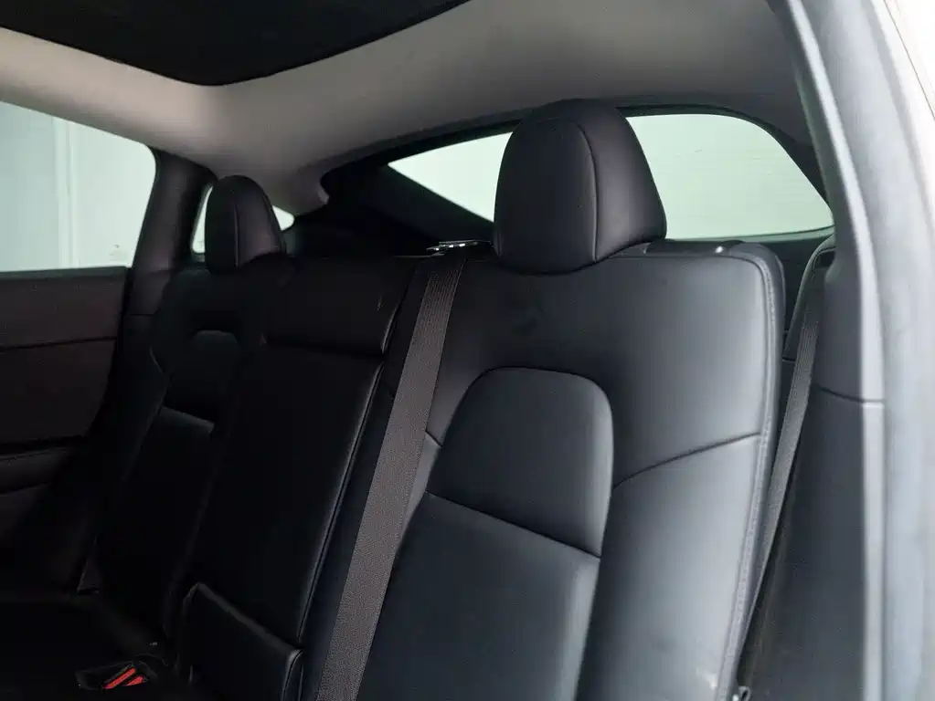 Tesla Model Y — миниатюра 15