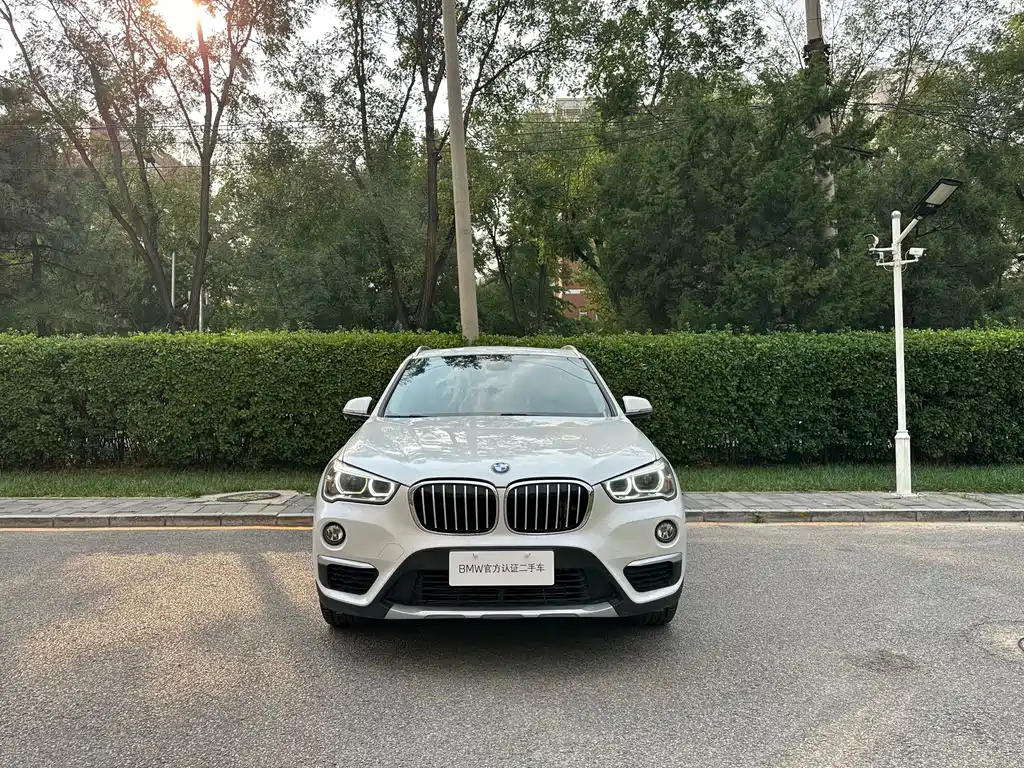 BMW X1 — миниатюра 2