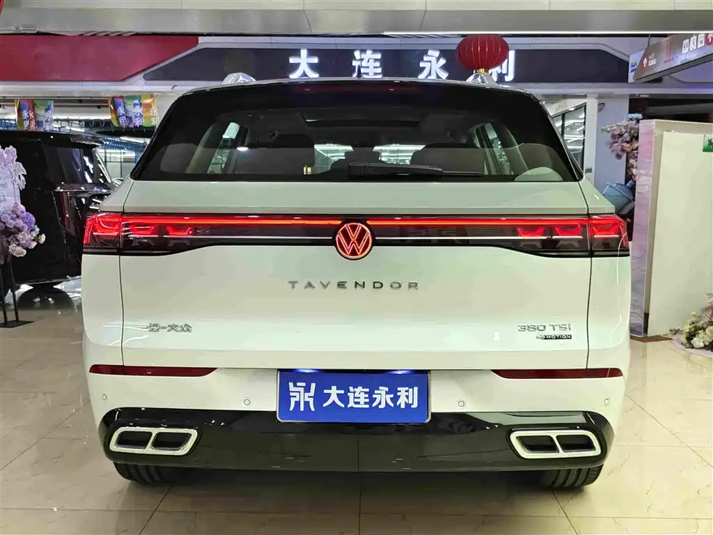 Volkswagen Tavendor — миниатюра 15