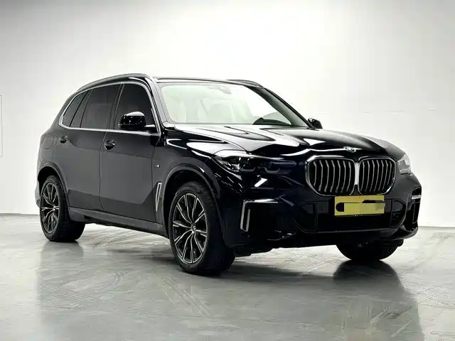 BMW X5 — миниатюра 3