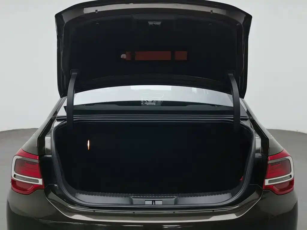 DS DS 5LS — миниатюра 16