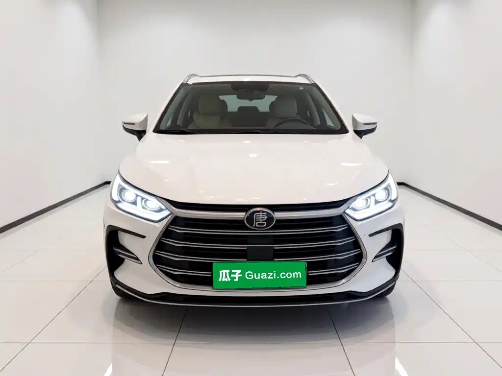 BYD Tang New Energy — миниатюра 2