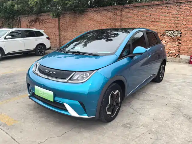 2022 BYD Dolphin