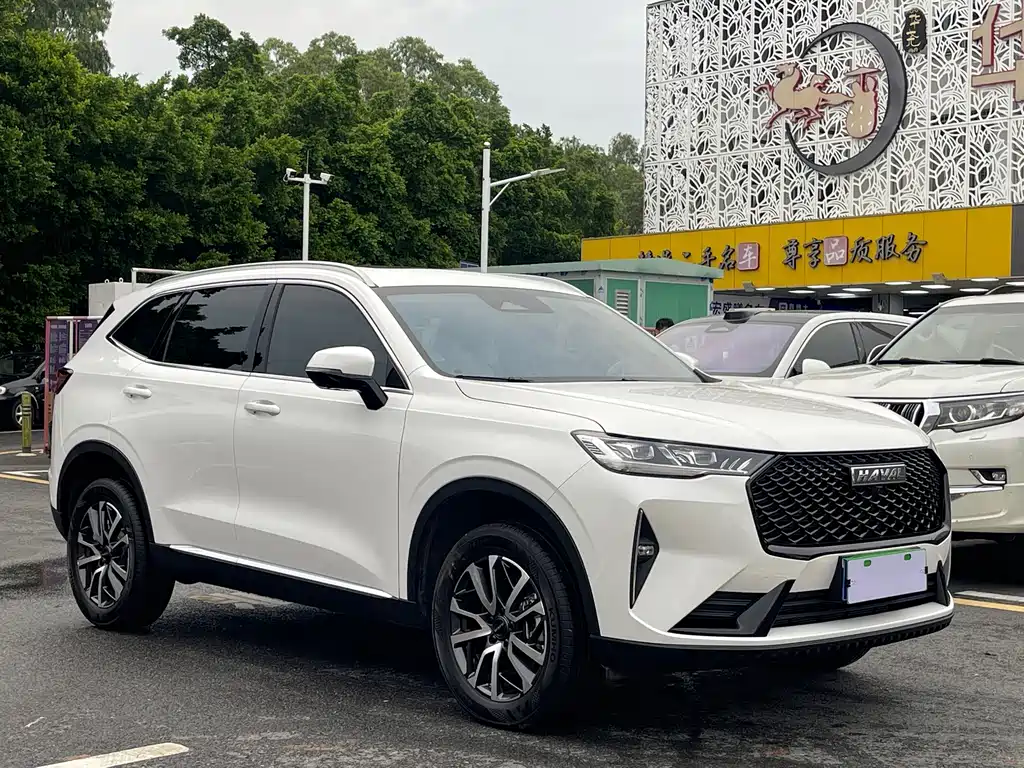 Haval H6 — миниатюра 2