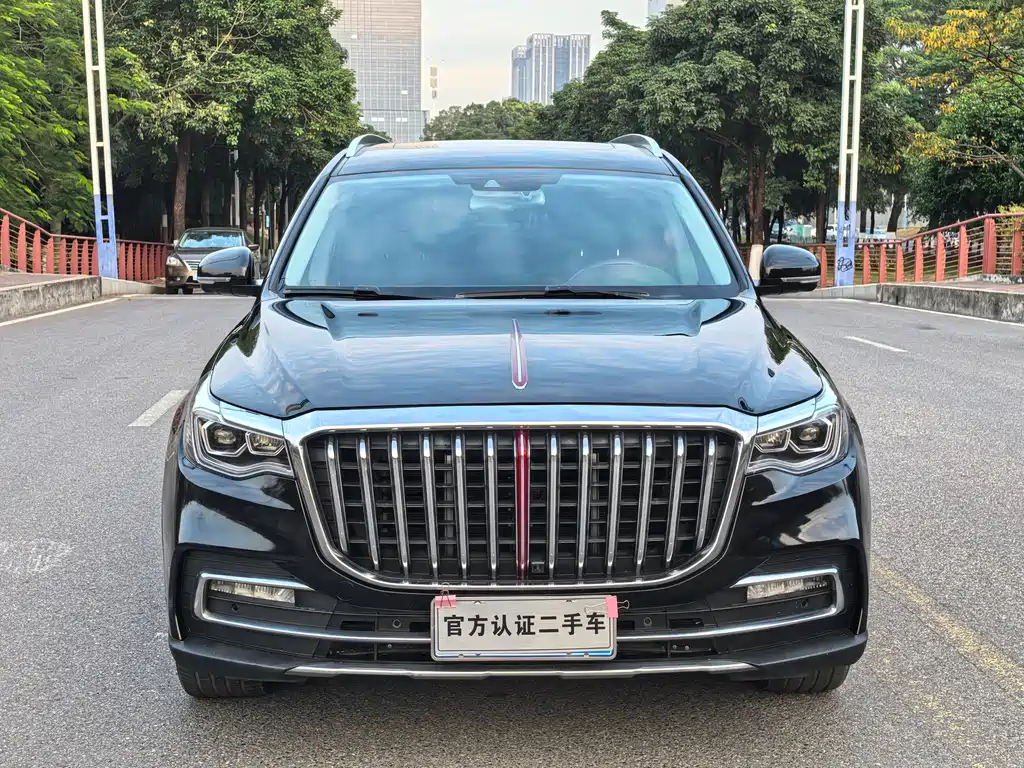 Hongqi HS7 3.0T Auto 4WD Connected Flagship Smooth Edition, фото 2