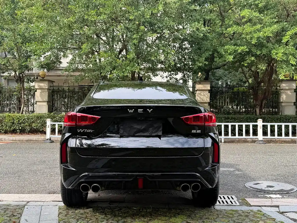 Wey Wey VV7 GT — миниатюра 10