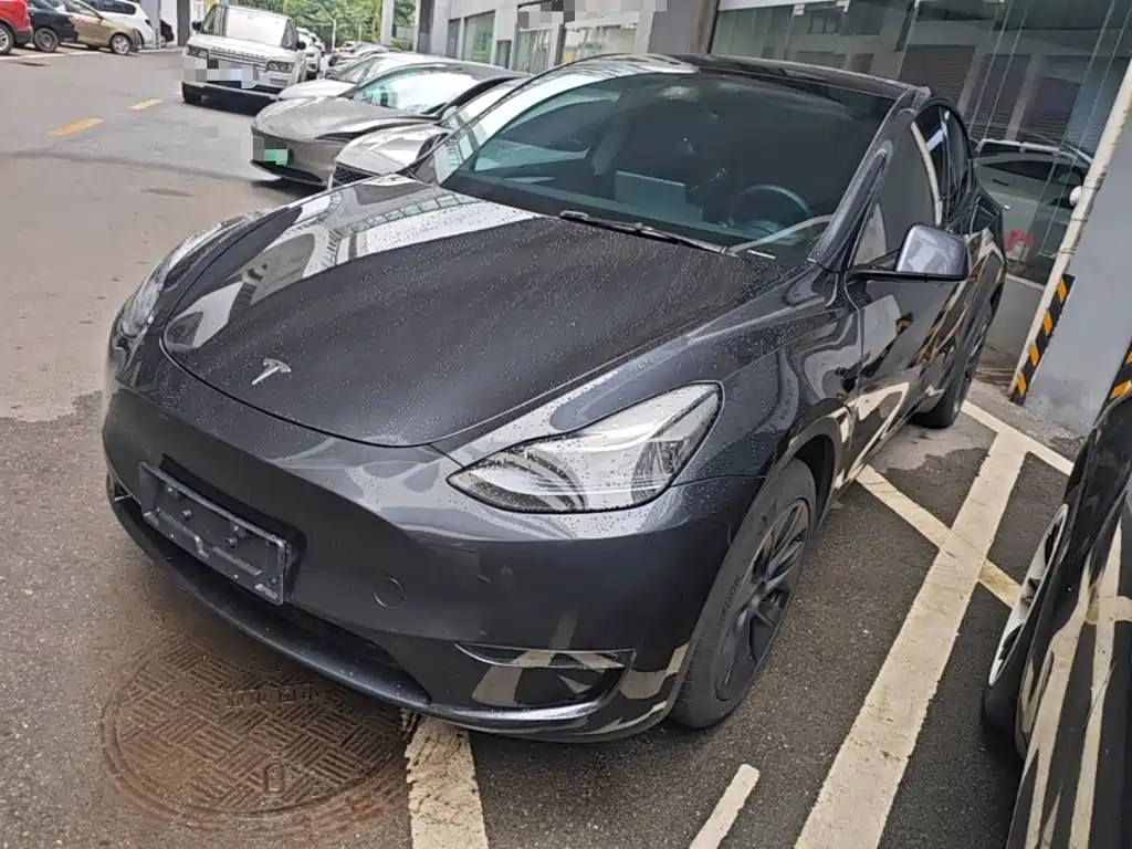 Tesla Model Y — миниатюра 2