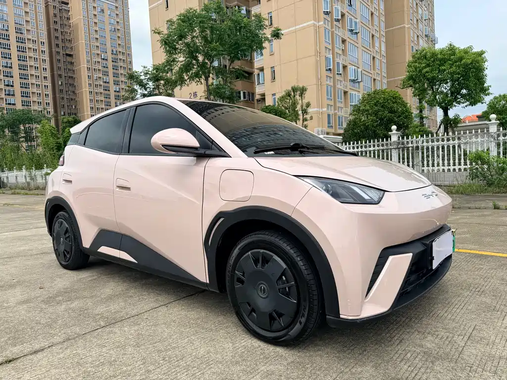 BYD Seagull 2024 305km Freedom