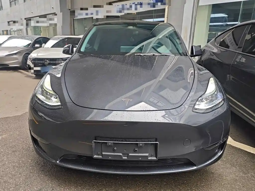 Tesla Model Y — миниатюра 3