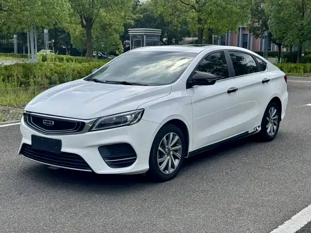 2019 Geely Binrui