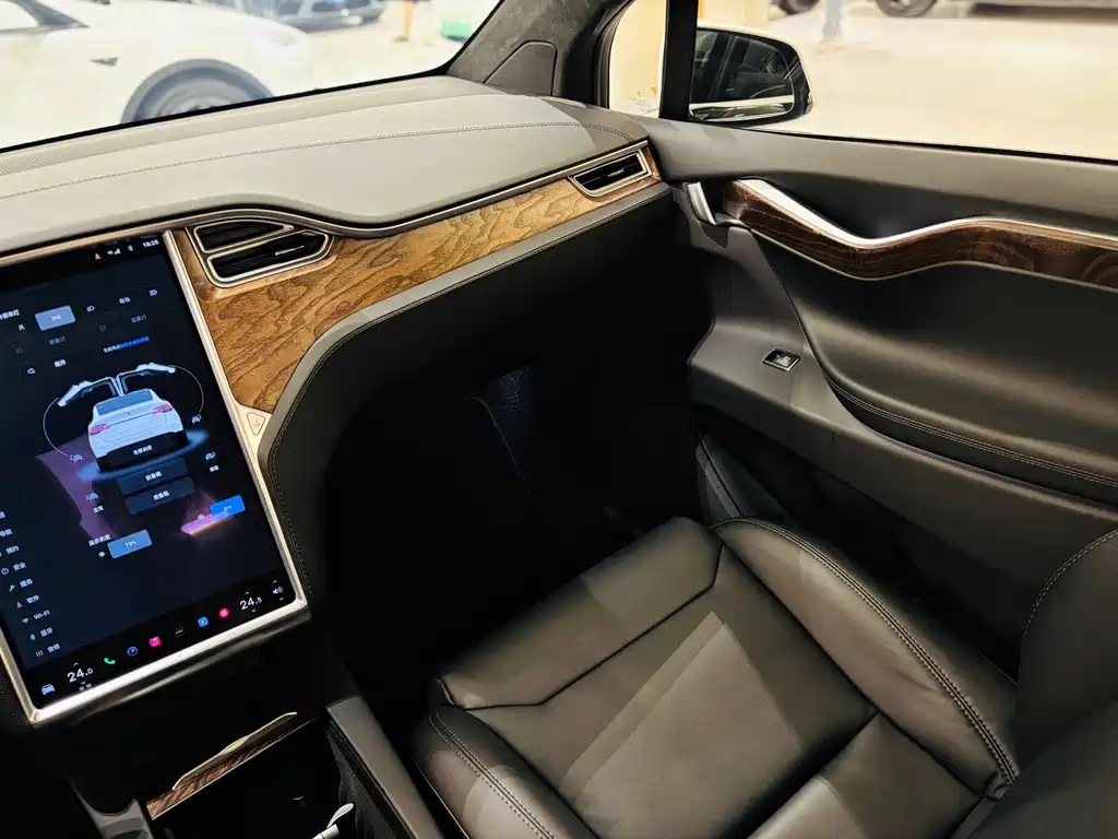 Tesla Model X — миниатюра 10