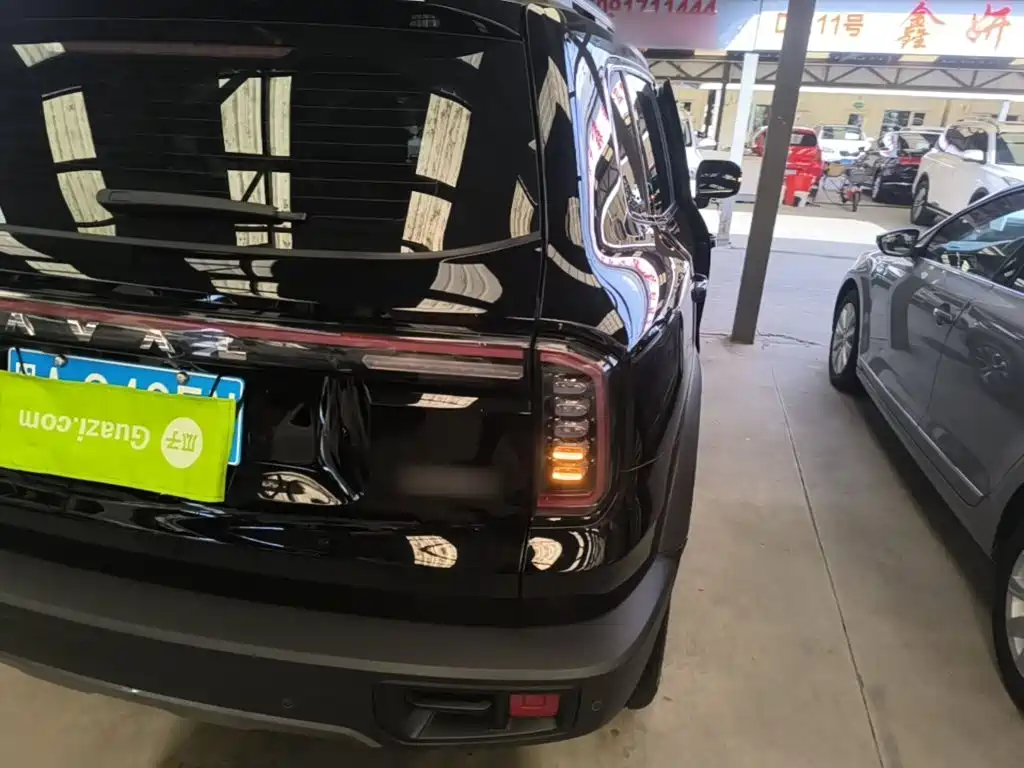 Haval 长城大狗 — миниатюра 8