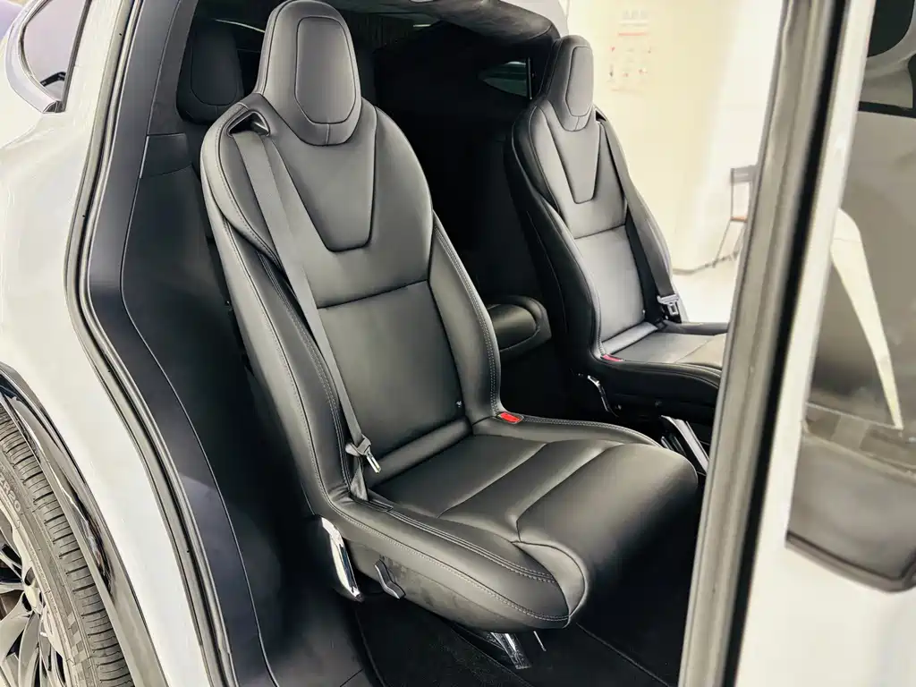 Tesla Model X — миниатюра 14
