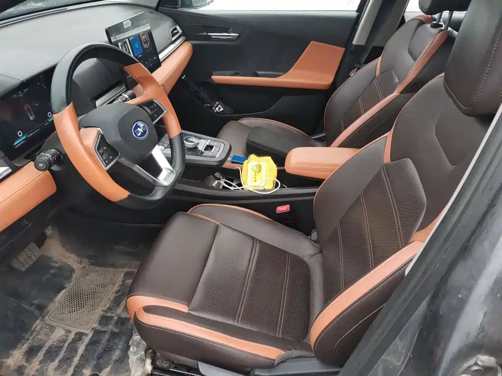 BYD e2 — миниатюра 8