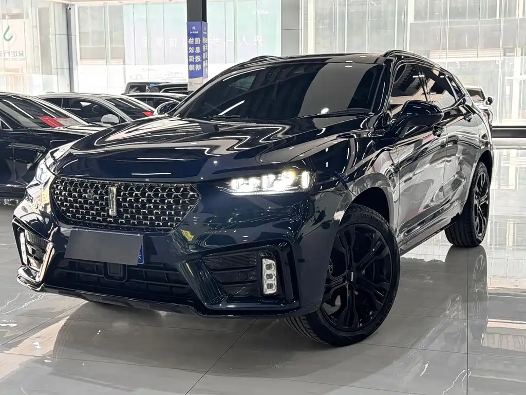 WEI PAI WEI BRAND VV7