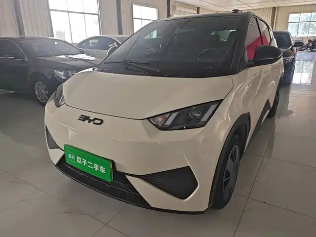 2025 BYD Seagull