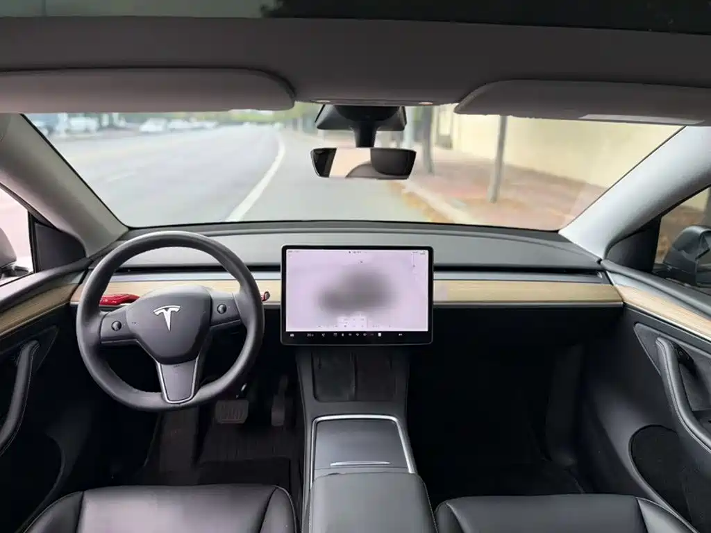 Tesla Model Y — миниатюра 8