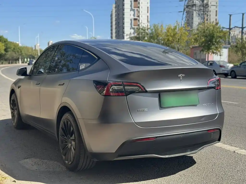 Tesla Model Y — миниатюра 7