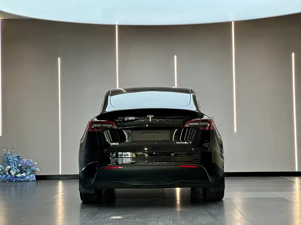 Tesla Model Y — миниатюра 9