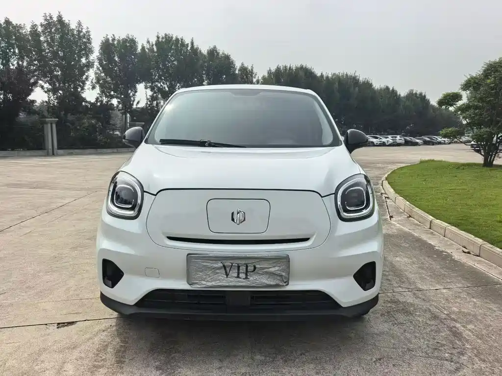 Leapmotor T03 2024 310