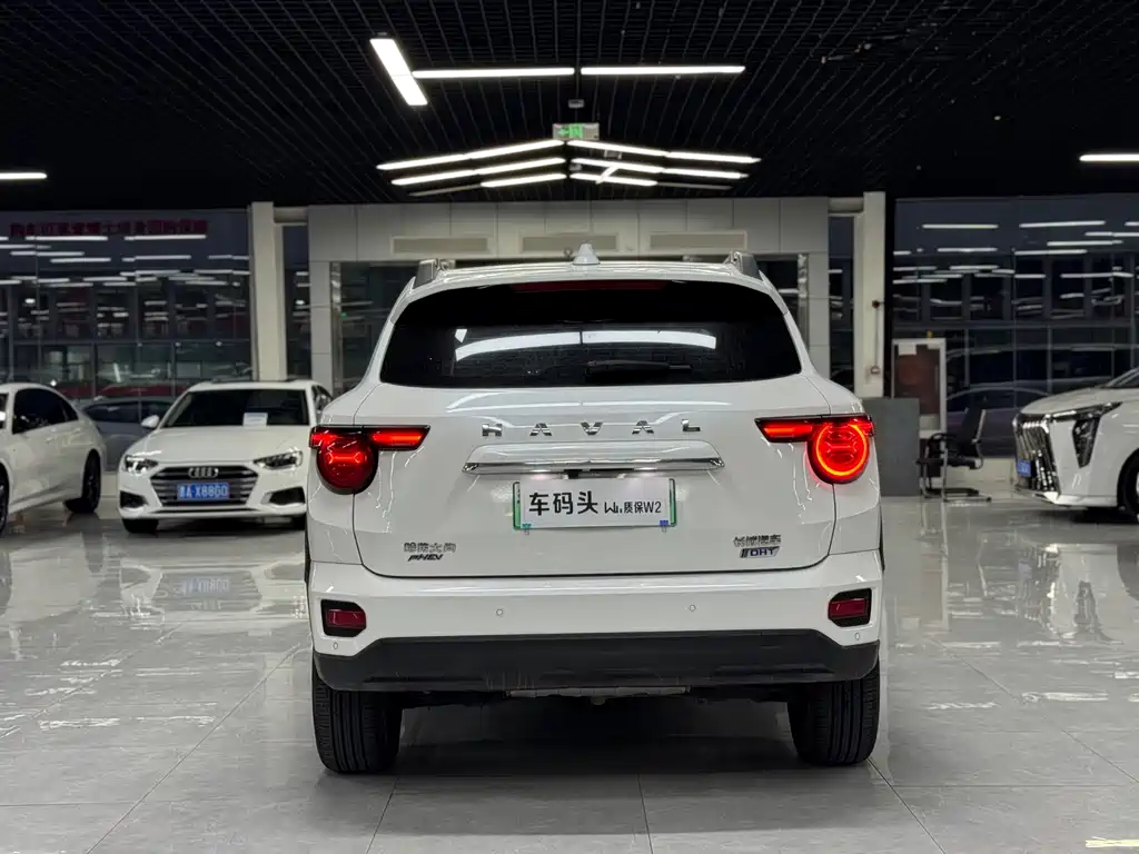 Haval Плюс новая энергия. — миниатюра 8