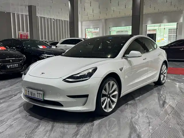 TESLA MODEL 3 2020