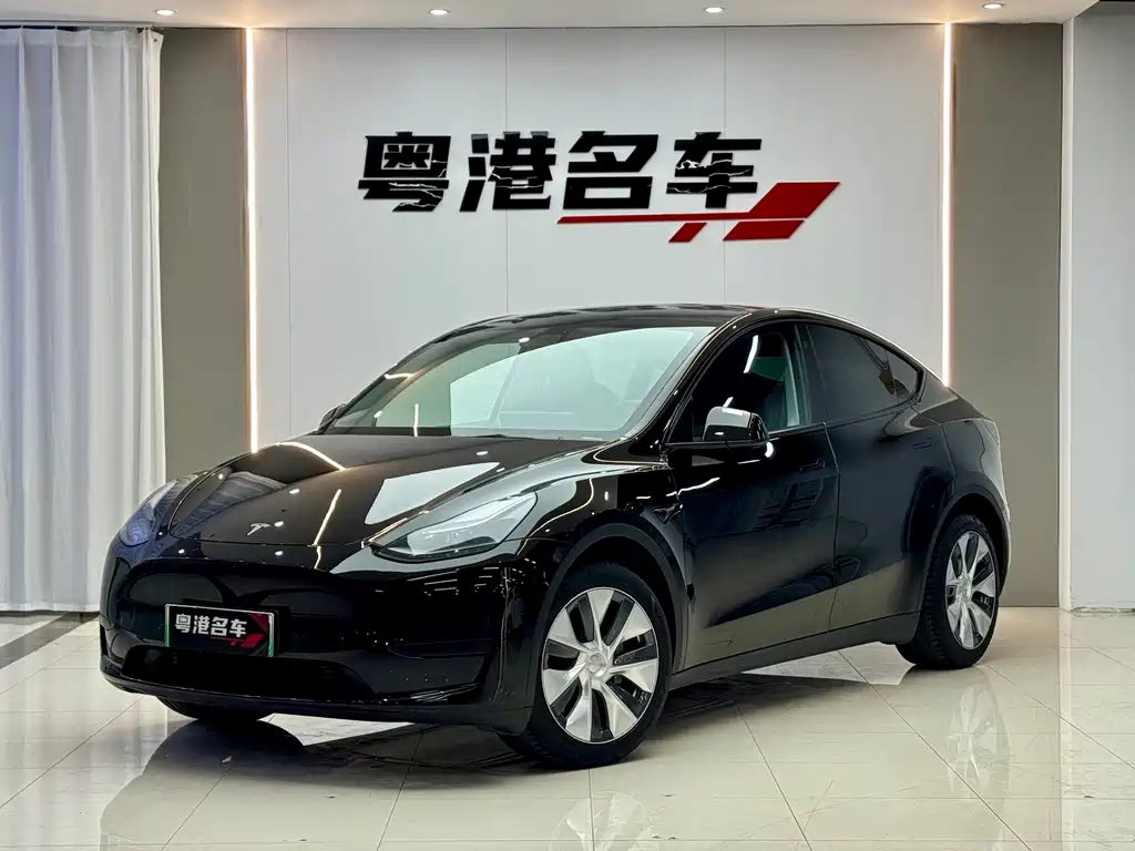 Tesla Model Y — фотографии объявления, Фото 2