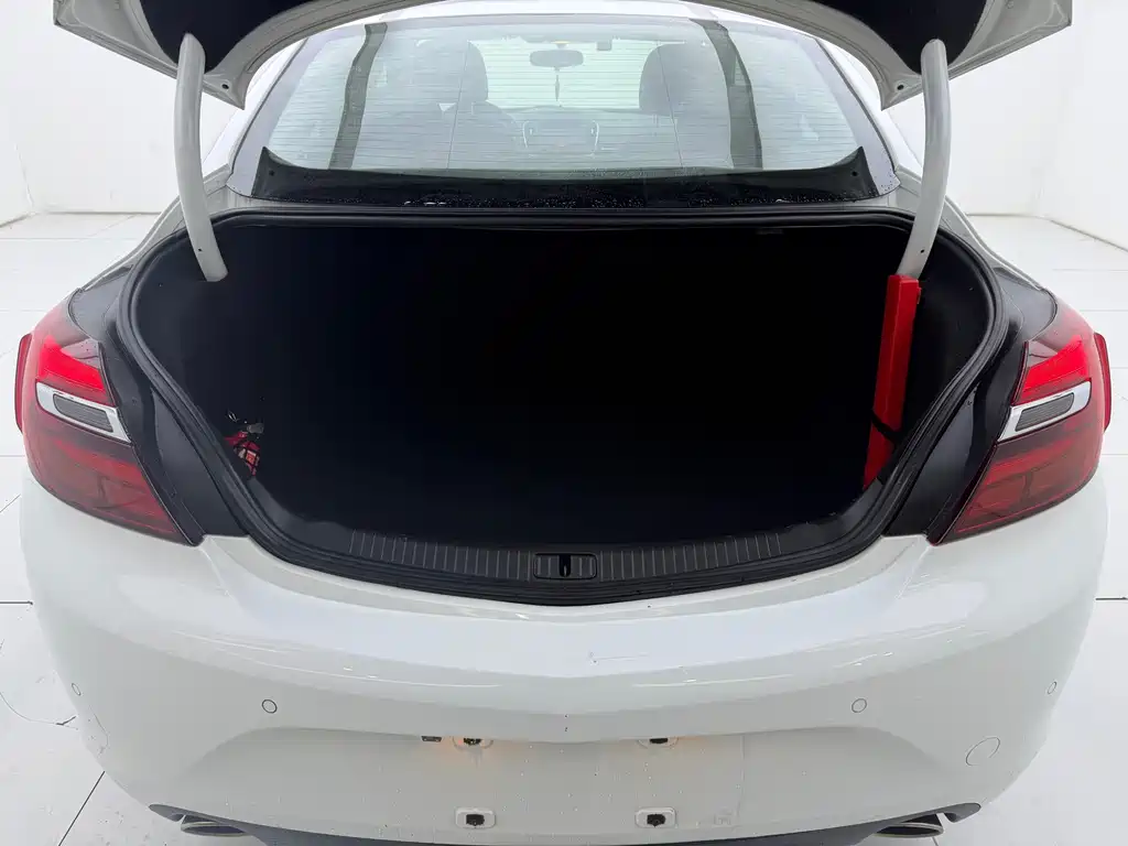 Buick Regal — миниатюра 21