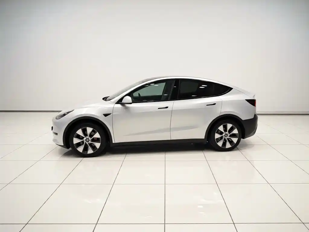 Tesla Model Y — миниатюра 26