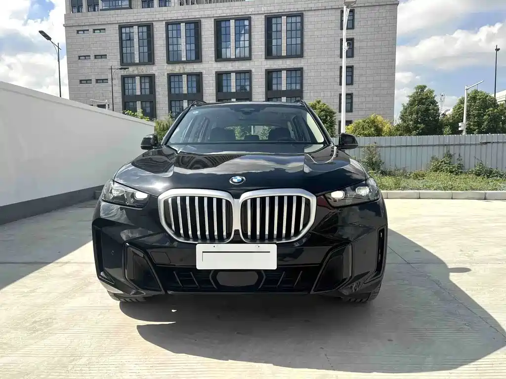 BMW X5 — миниатюра 2