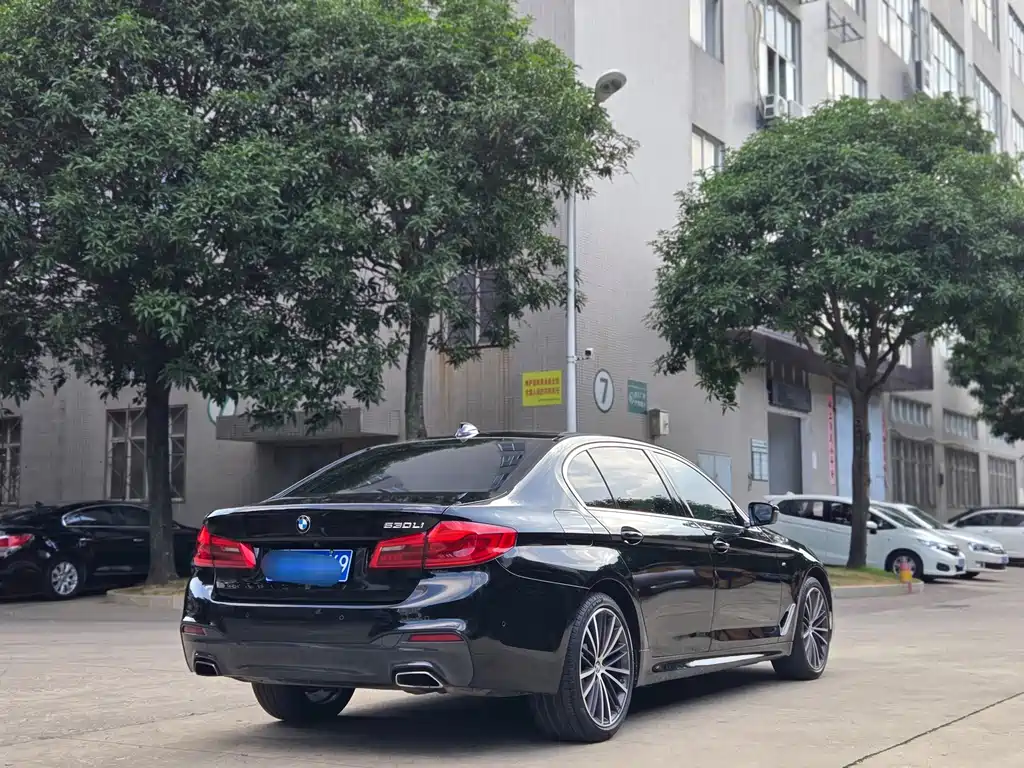 BMW 5 Series — миниатюра 3