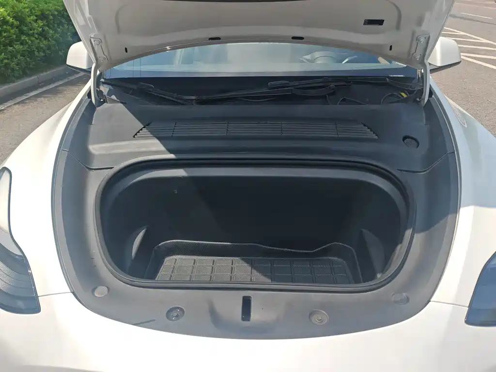Tesla Model Y — миниатюра 8