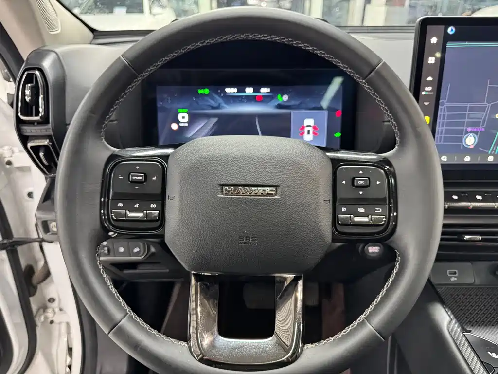Haval Плюс новая энергия. — миниатюра 13