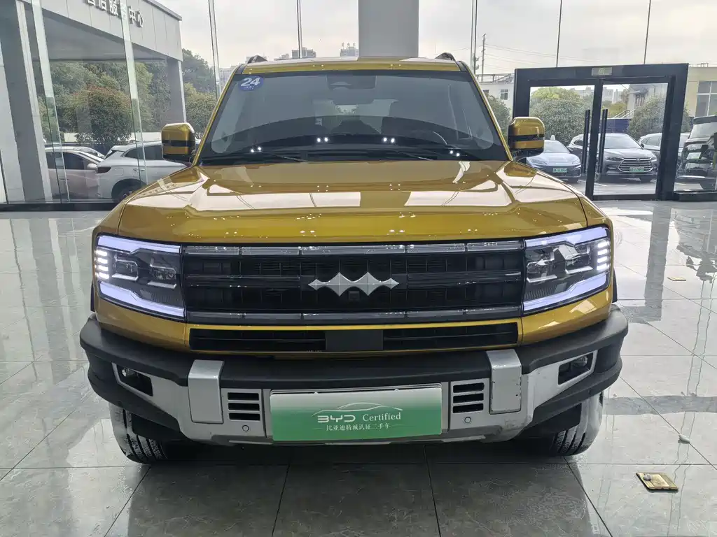 FANG CHENG BAO LEOPARD 5