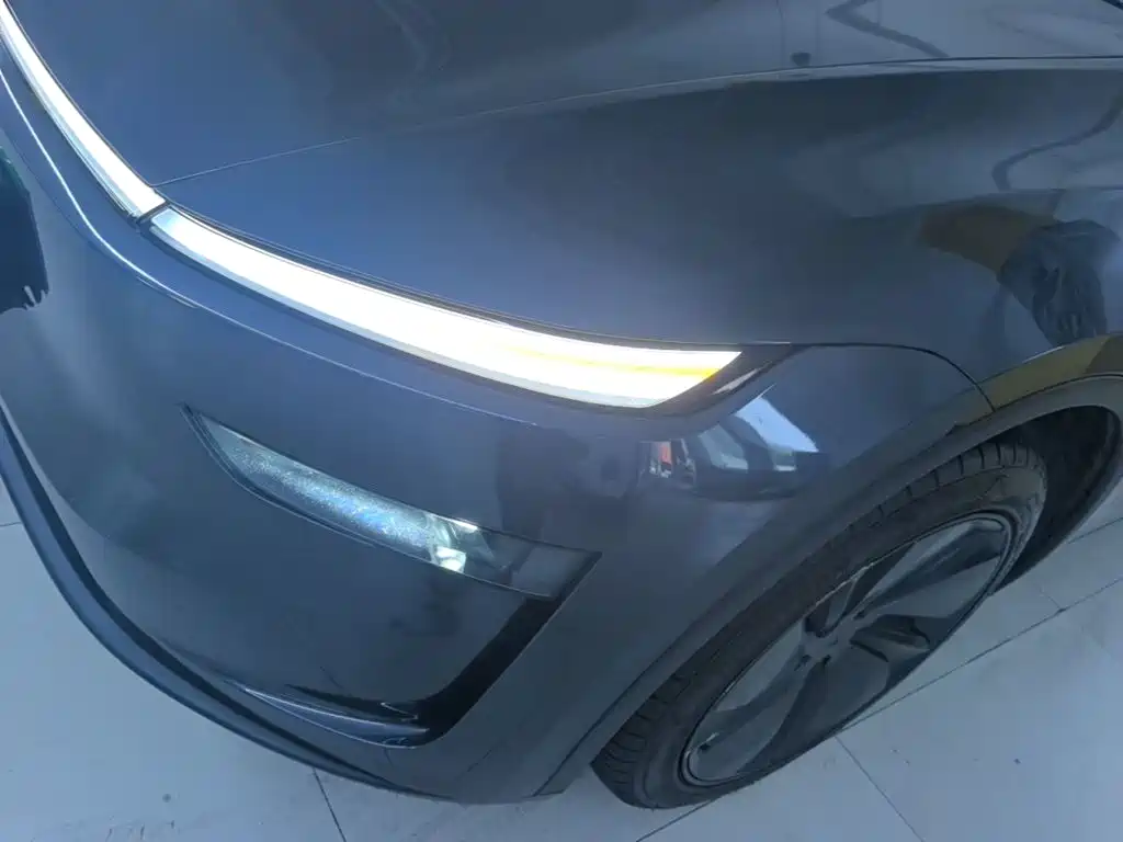 Tesla Model Y — миниатюра 24
