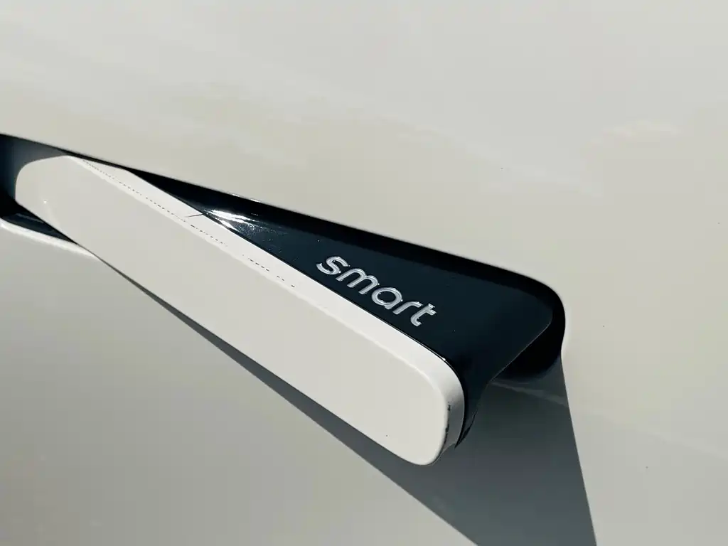 smart Smart #1 — миниатюра 14