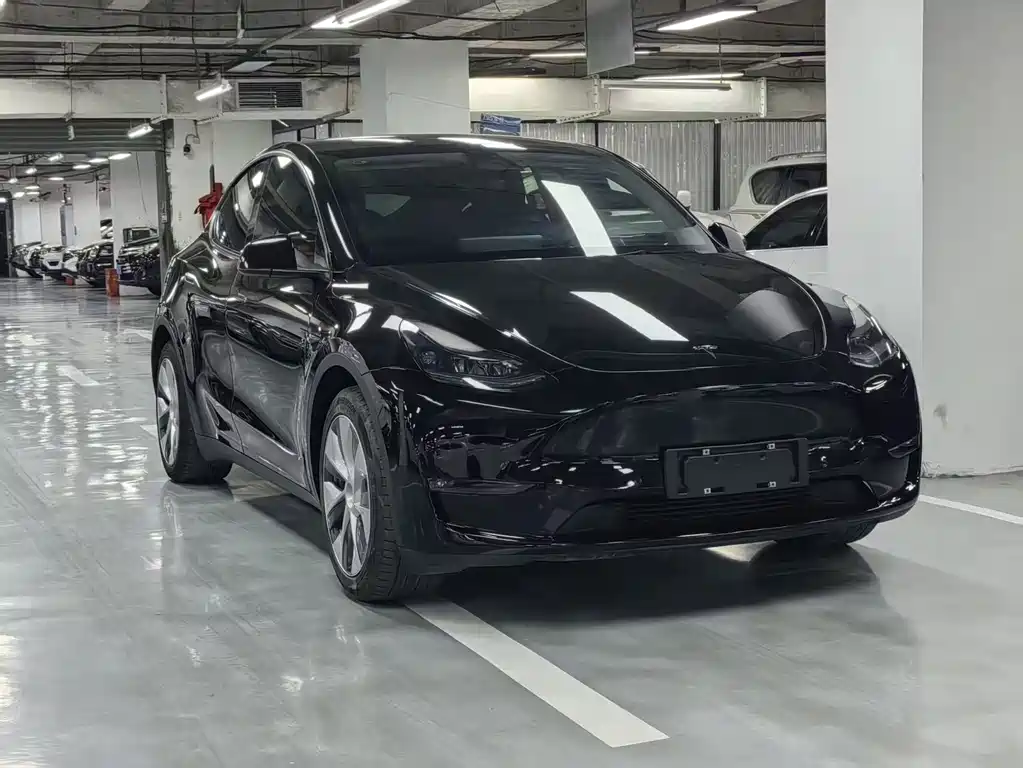 Tesla Model Y — миниатюра 3