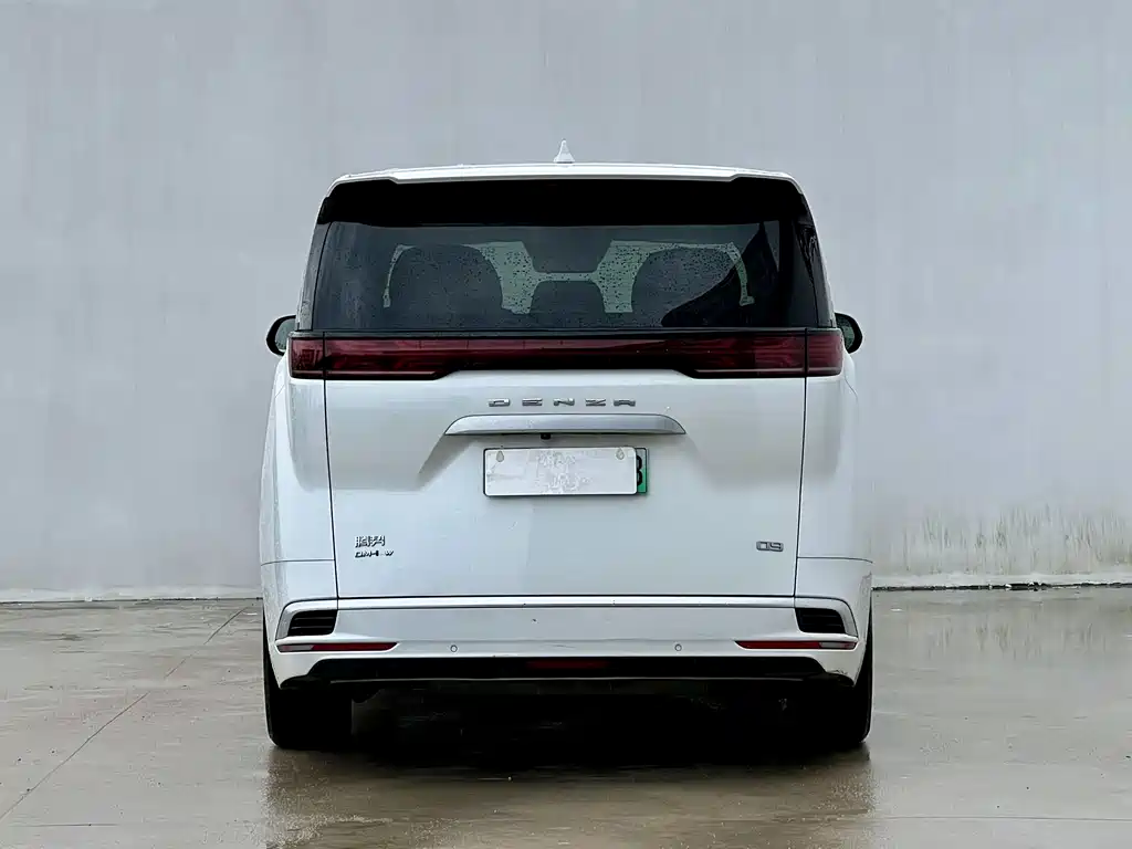 Denza Denza D9 — миниатюра 8
